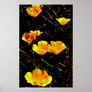 Poster Pavots