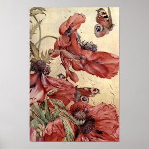 Poster Pavots vintages et papillons