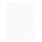 Paw Birthday Paw ty Invitation