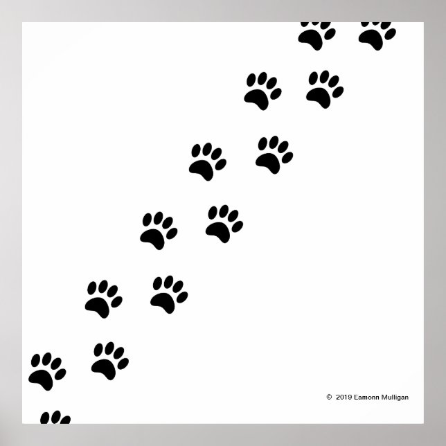 Poster Paws marchants (Devant)