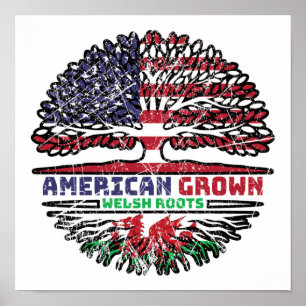 Poster Pays de Galles Gallois États-Unis États-Unis