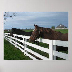 Poster Pays du Kentucky Bluegrass