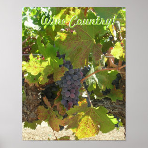 Poster - Pays du vin