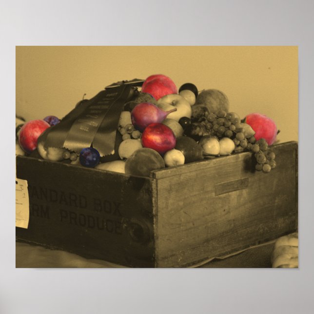 Poster Pays Fair Fruit Prize Sepia Couleur partielle (Devant)