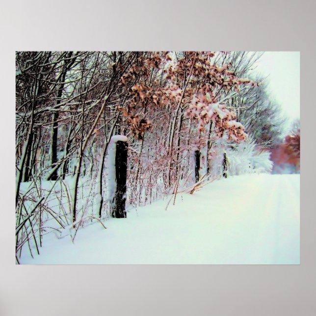 Poster Pays froid (Devant)
