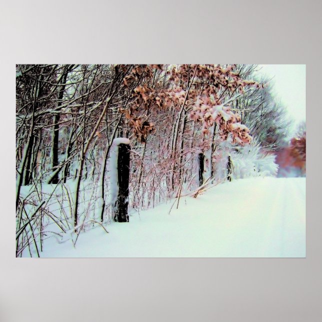 Poster Pays froid (Devant)