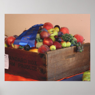 Poster Pays Fruit Premier prix Bleu Ruban