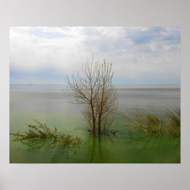 Poster Paysage (Devant)