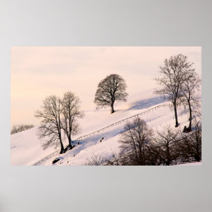 POSTER PAYSAGE