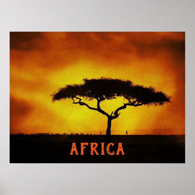 Poster Paysage africain Arbre Acacia (Devant)