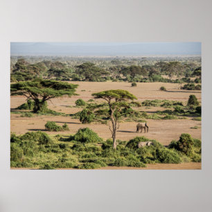 Poster Paysage africain avec éléphant