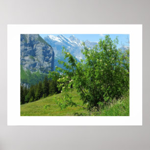 Poster Paysage alpin en Suisse