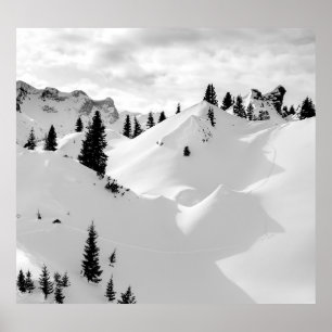 Poster Paysage alpin : Snowy Fir Trees