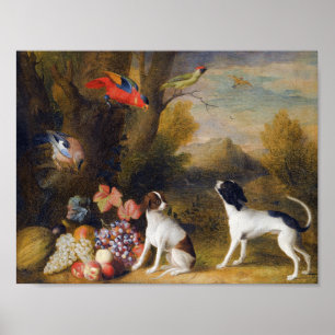Poster Paysage avec oiseaux exotiques et deux chiens