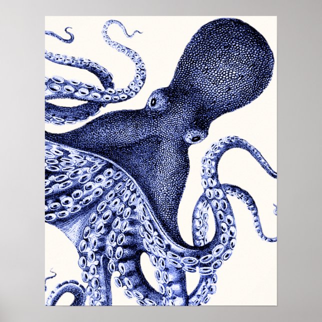Poster Paysage Bleu Octopus (Devant)
