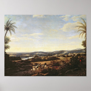 Poster Paysage brésilien avec une plantation