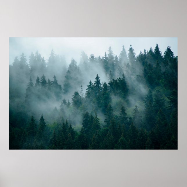 Poster Paysage bruyant avec forêt de sapins en hipster vi (Devant)