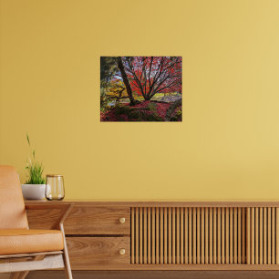 Poster Paysage coloré de feuilles et d'arbres d'automne