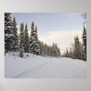 Poster Paysage couvert de neige