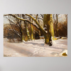 Poster Paysage d'arbre ensoleillé hivernal de ferme rusti