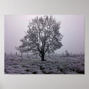Poster Paysage d'arbre hivernal