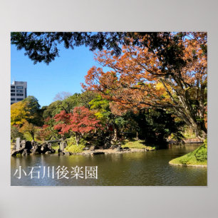 Poster Paysage d'arbres colorés dans le jardin japonais