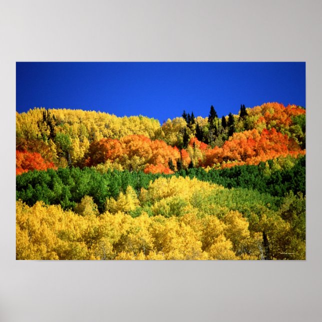 Poster Paysage d'automne (Devant)
