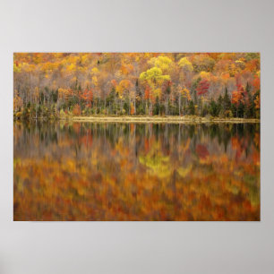Poster Paysage d'automne avec lac, Vermont, États-Unis