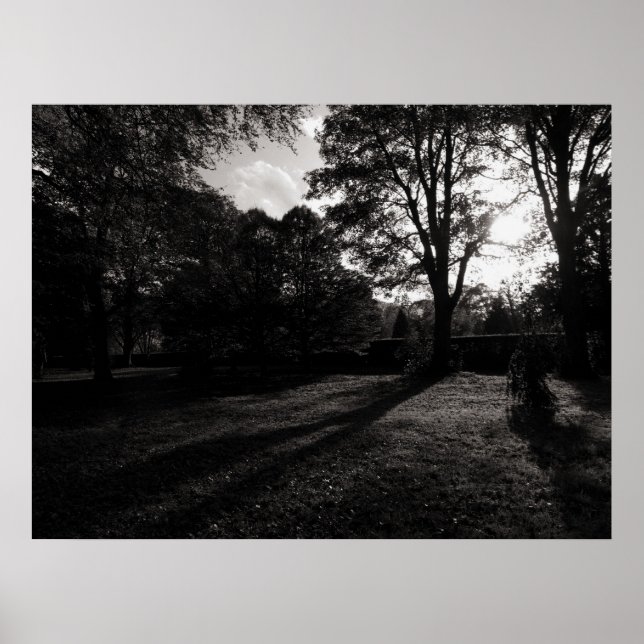 Poster Paysage d'automne Bute Park Cardiff (Devant)