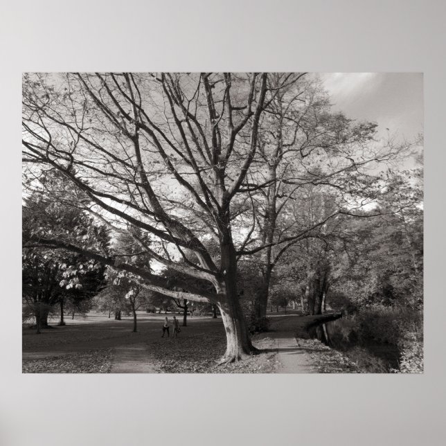 Poster Paysage d'automne Bute Park Cardiff (Devant)