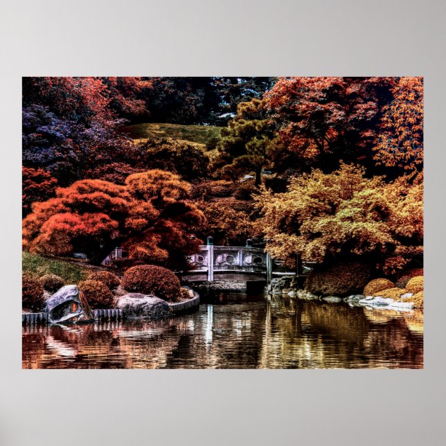 Poster Paysage d'automne Photo du parc (Devant)