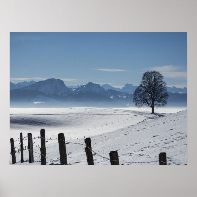 Poster Paysage de campagne hivernale neige Photo (Devant)