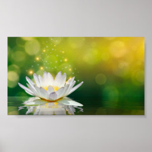 Poster Paysage de fleur de lotus blanc, Zen