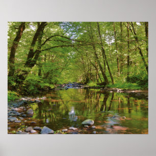 Poster Paysage de la rivière Wilson