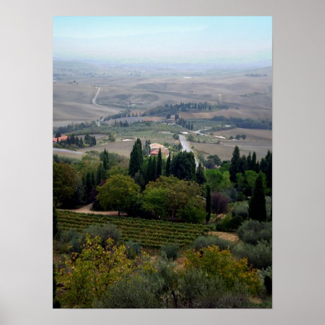 Poster Paysage de Pienza (Devant)