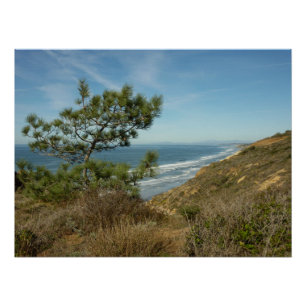 Poster Paysage de Torrey Pine et de la côte californienne