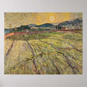 Poster Paysage de Van Gogh avec champs de fleurs (1899)