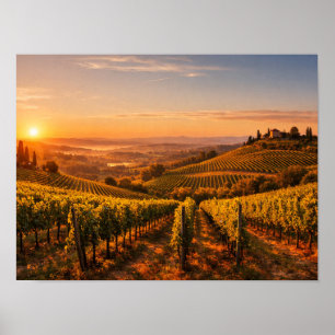 Poster Paysage de vignoble toscan au coucher du soleil