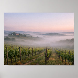 Poster Paysage de vignoble toscan brumeux au lever du sol