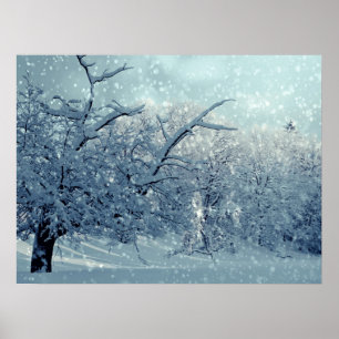 Poster Paysage des arbres d'hiver