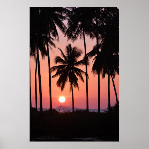 Poster Paysage des palmiers à coco