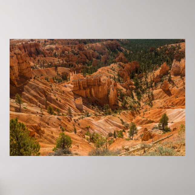 Poster Paysage désertique du Parc national du Canyon de B (Devant)