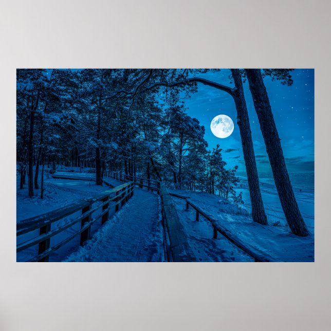 Poster Paysage d'hiver avec pinède enneigée (Devant)