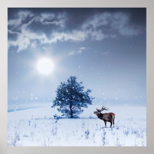 Poster Paysage d'hiver de couleur bleue. Arbre solitaire 