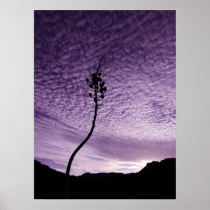 Poster Paysage du ciel pourpre