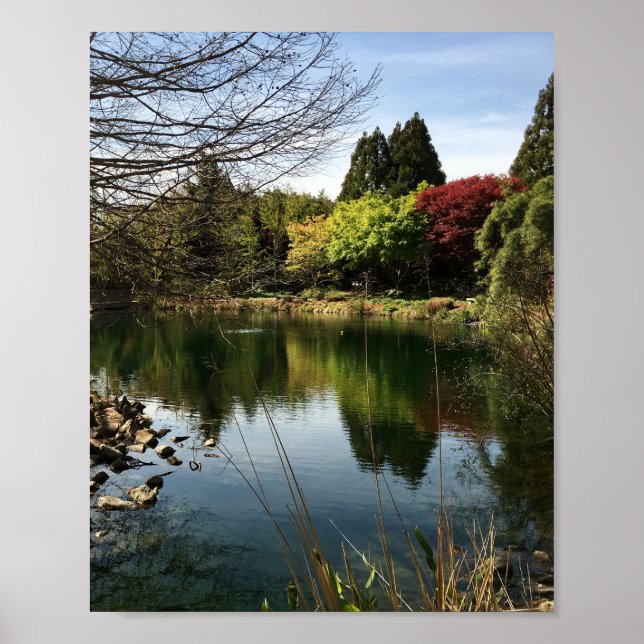 Poster Paysage du lac (Devant)