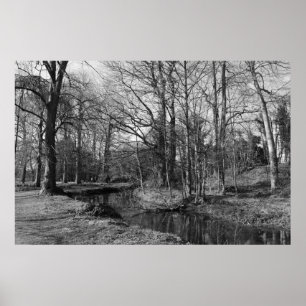 Poster Paysage du parc - Bute Park, Cardiff