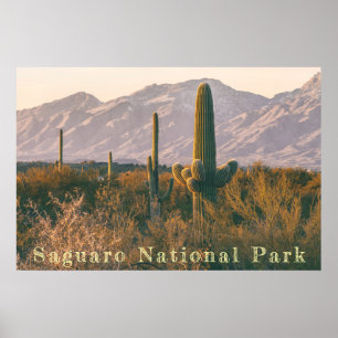 Poster Paysage du Saguaro
