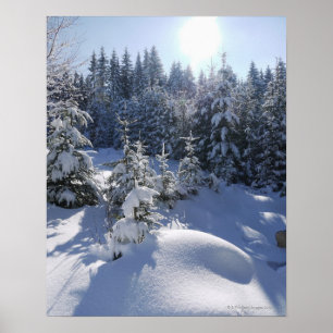 Poster Paysage froid 2 d'hiver de Milou