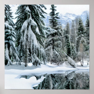 Poster Paysage hivernal Arbres À feuillage persistant Mon